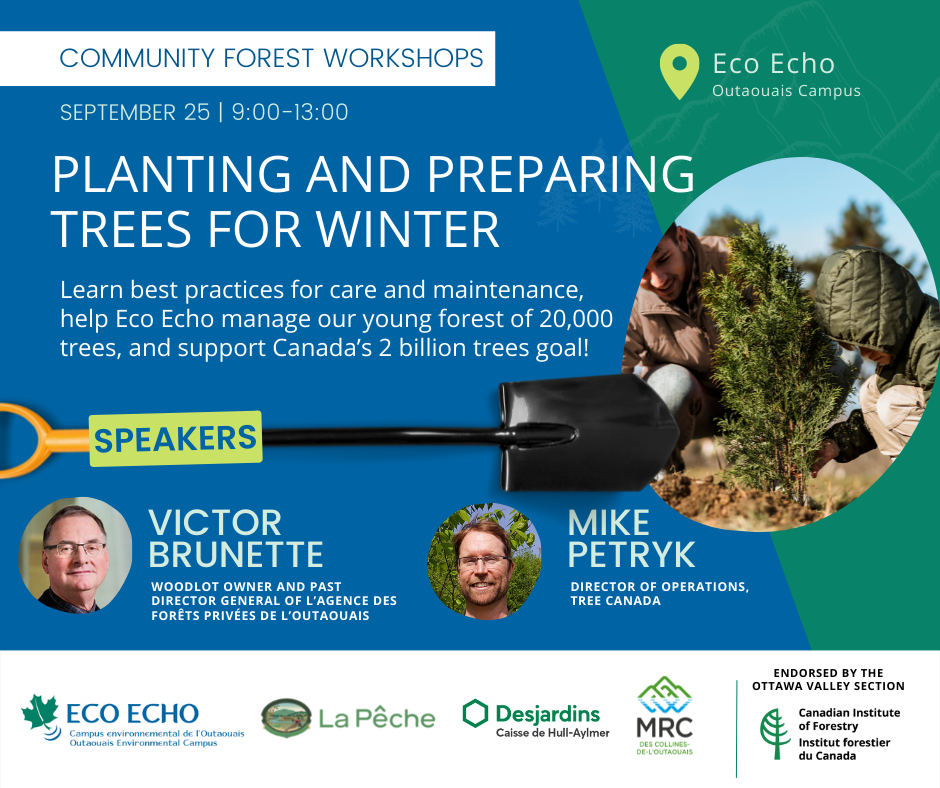 Planting and preparing trees for winter Photo credit Josie Dinsmore
