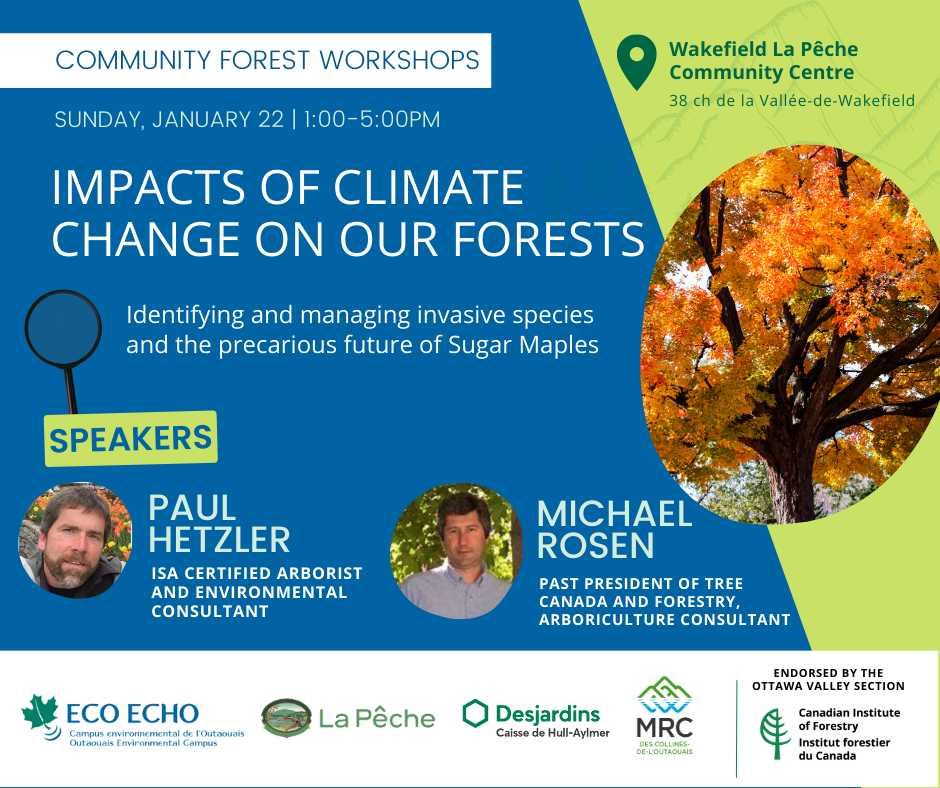 Impacts of Climate Change on Our Forests Identifying and managing invasive species and the precarious future of Sugar Maples Paul Hetzler, ISA Certified Arborist and Environmental Consultant Mike Rosen, Past President of Tree Canada and Forestry, Arboriculture Consultant Sunday, January 22, 1:00-5:00 pm Wakefield La Pêche Community Centre, 38 ch de la Vallée-de-Wakefield