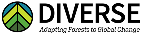 DIVERSE - Adapting Forests to Global Change