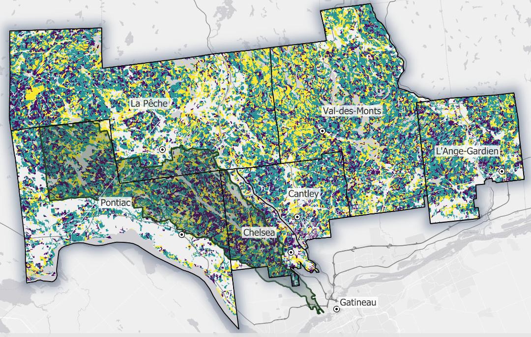 MRC Forest Image-graphic (October 2025)